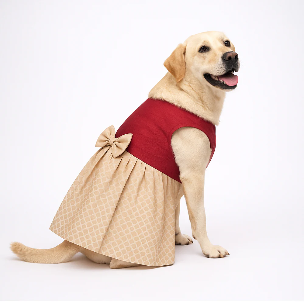 Skatrs Heritage Dress for Dogs and Cats (Maroon and Off White) - Image 4