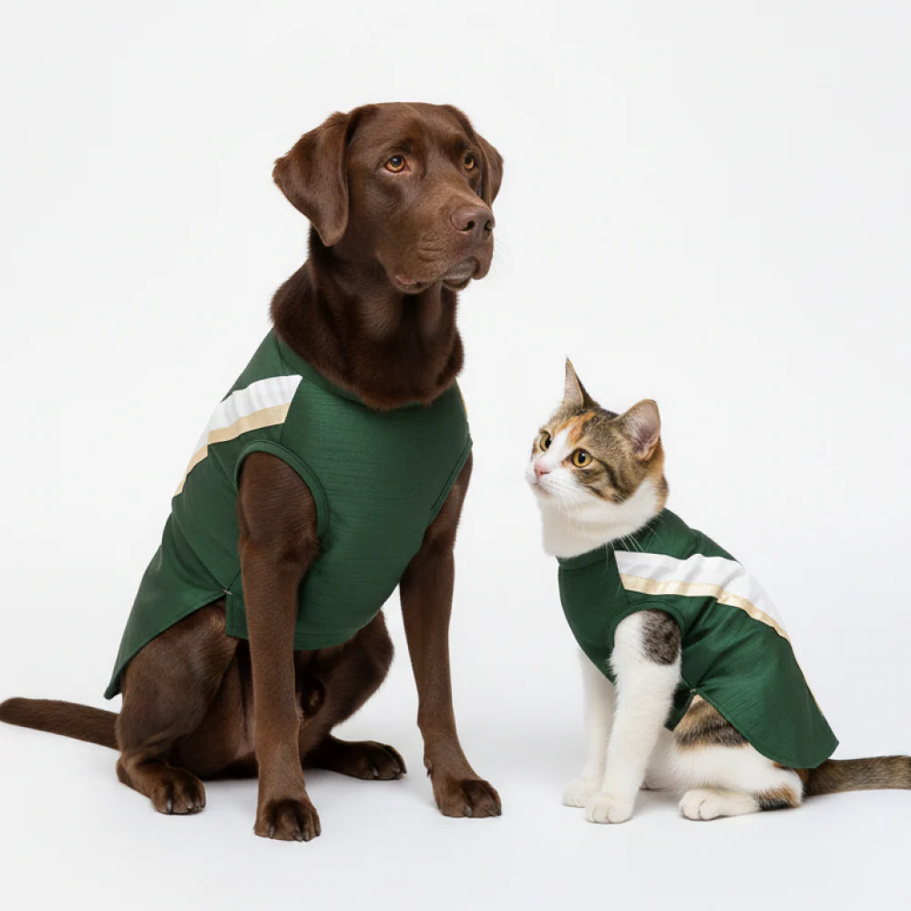 Skatrs Heritage Kurta for Dogs and Cats (Green)