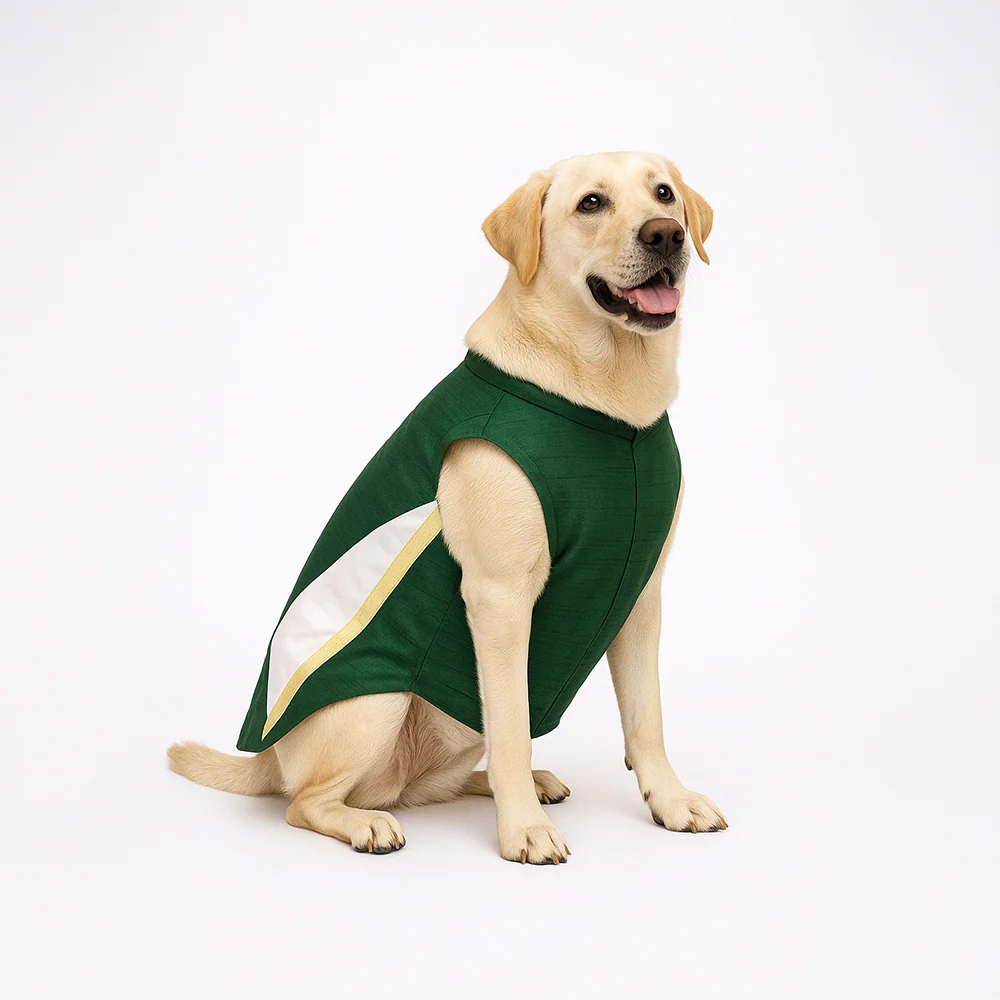 Skatrs Heritage Kurta for Dogs and Cats (Green) - Image 2