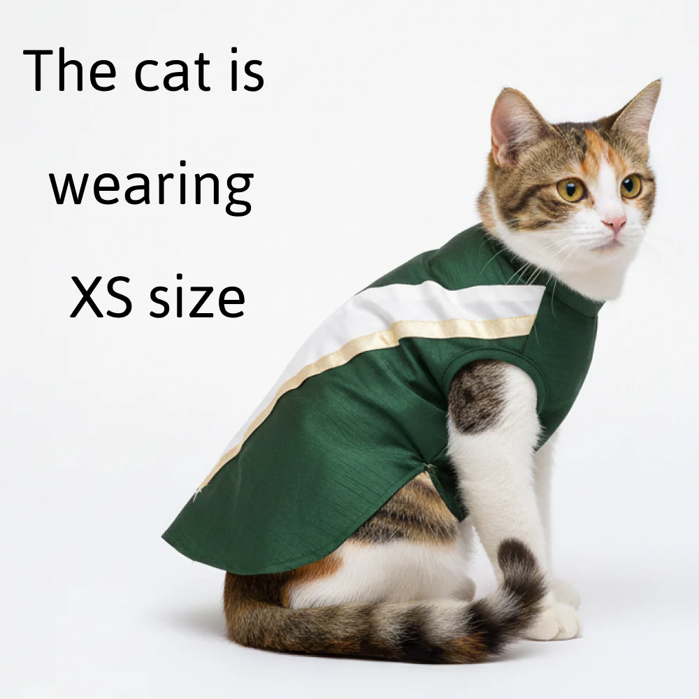 Skatrs Heritage Kurta for Dogs and Cats (Green) - Image 8