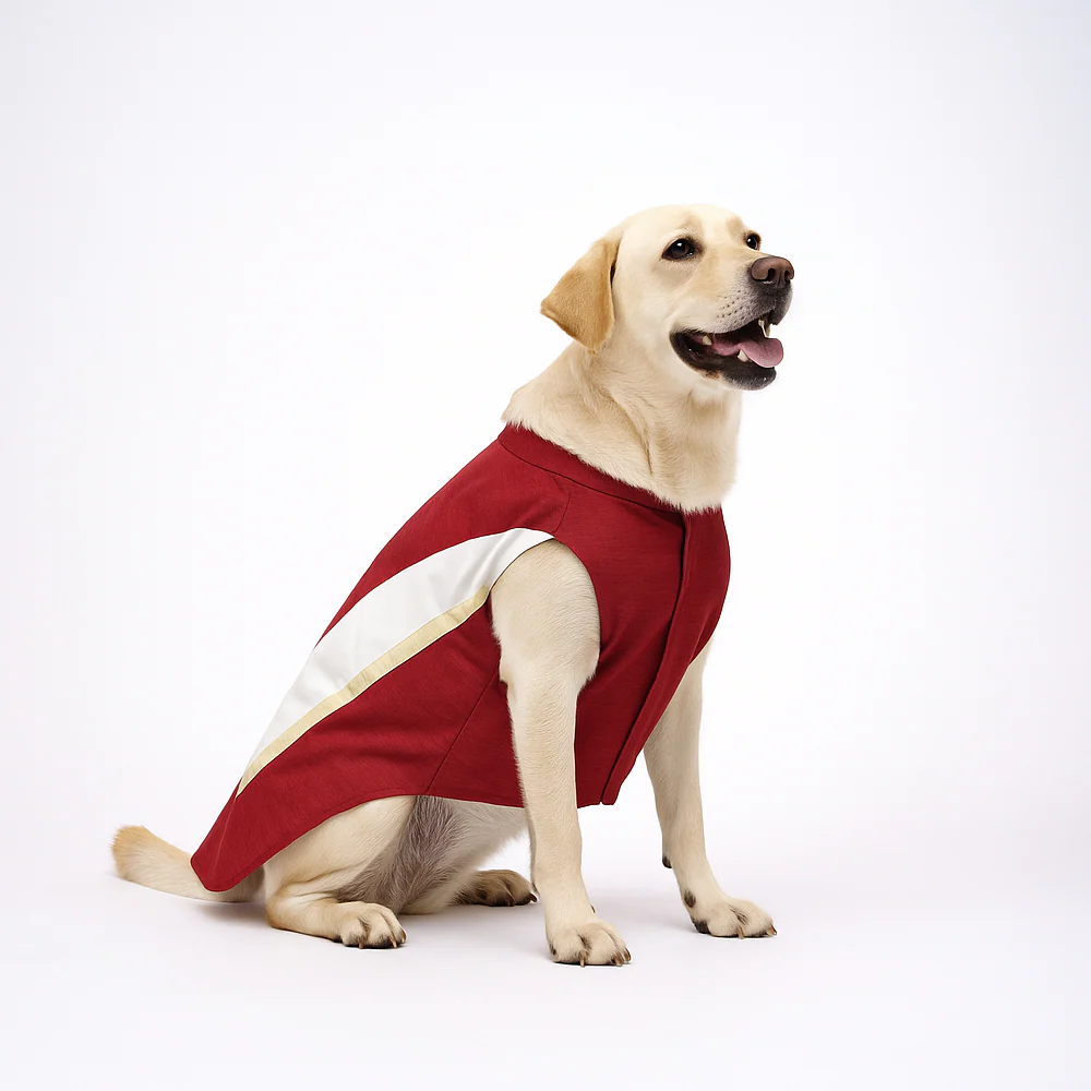 Skatrs Heritage Kurta for Dogs and Cats (Maroon) - Image 2