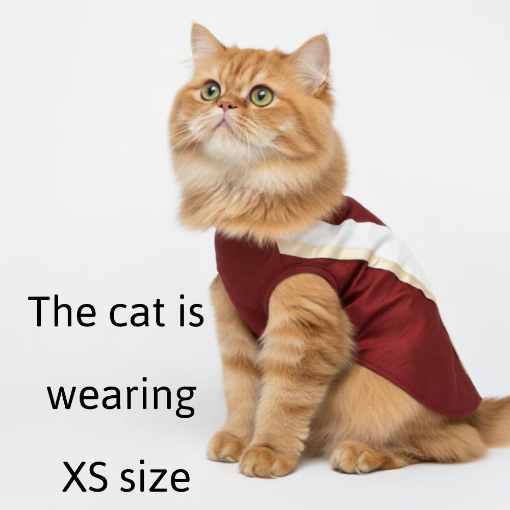 Skatrs Heritage Kurta for Dogs and Cats (Maroon) - Image 3