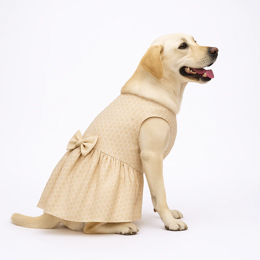 Skatrs Heritage Dress for Dogs and Cats (Off White) - Image 4