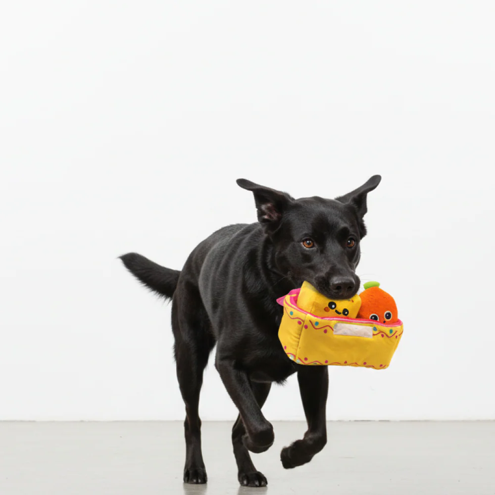 Skatrs Pawldiram Mithai Box Plush Toy for Dogs - Image 3