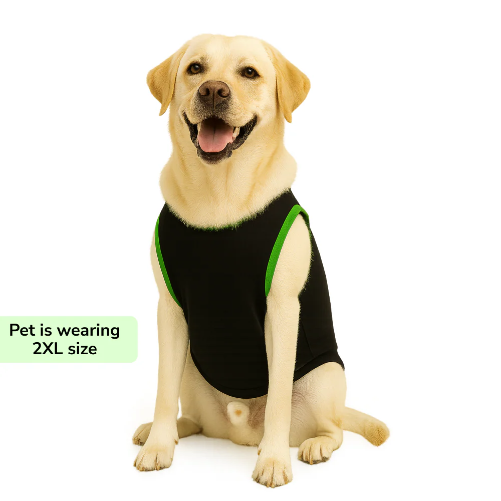 Skatrs Toadly Cute Cotton T shirt for Dogs and Cats - Image 13