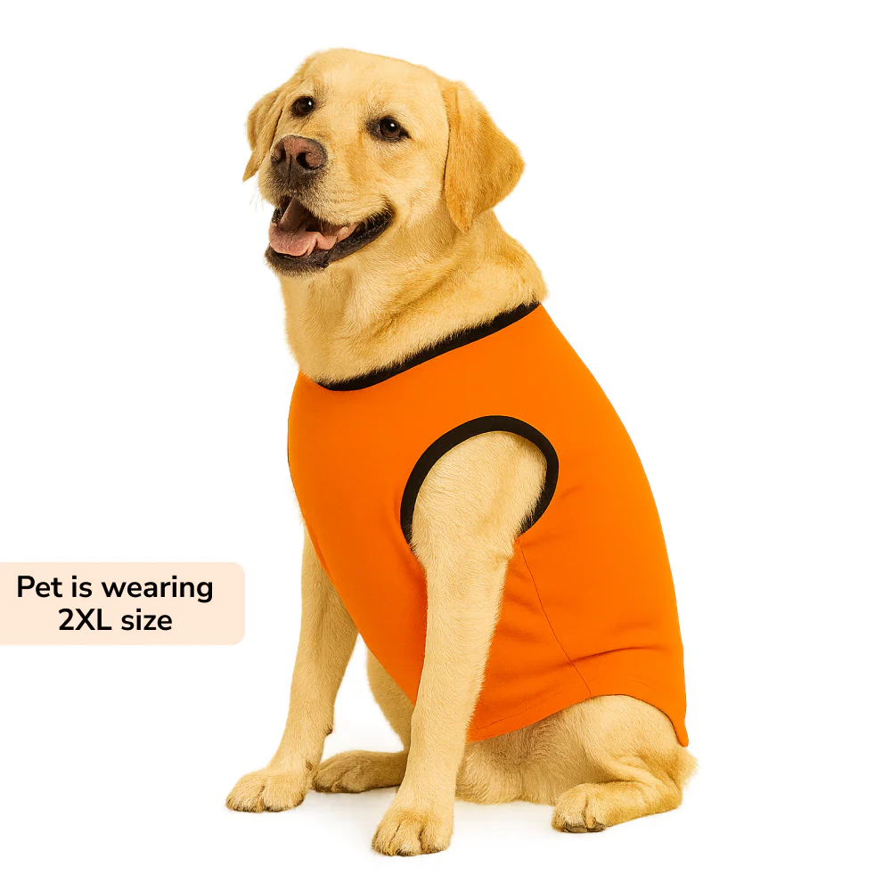 Skatrs Peekaboo Cotton T shirt for Dogs and Cats - Image 14