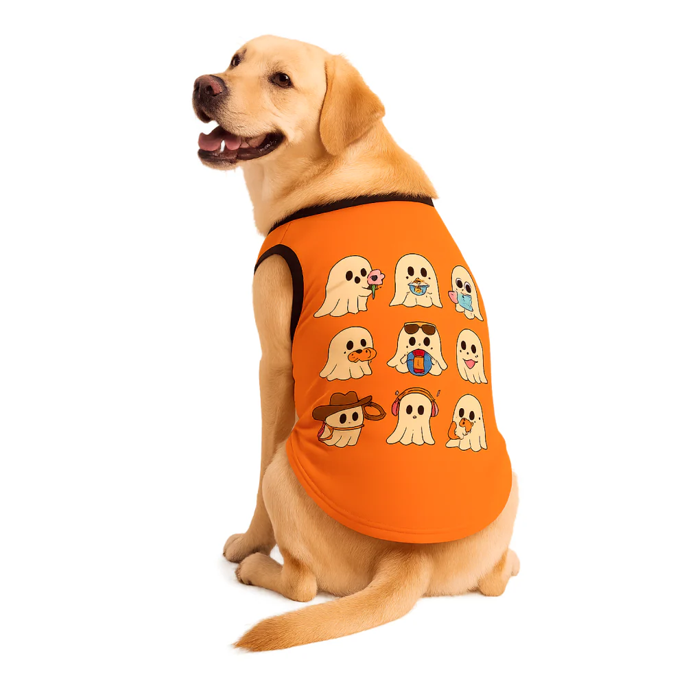 Skatrs Peekaboo Cotton T shirt for Dogs and Cats - Image 3