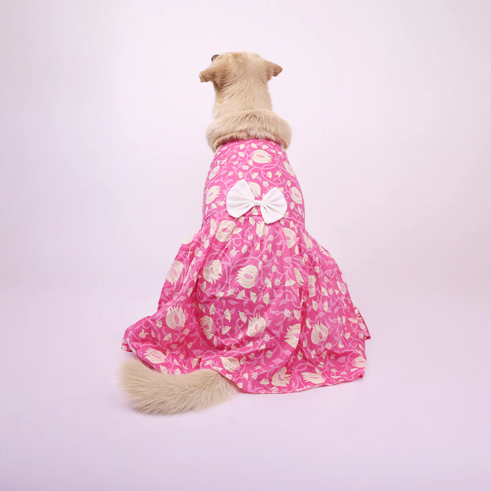 Skatrs Petal Charm Dress for Dogs and Cats - Image 3