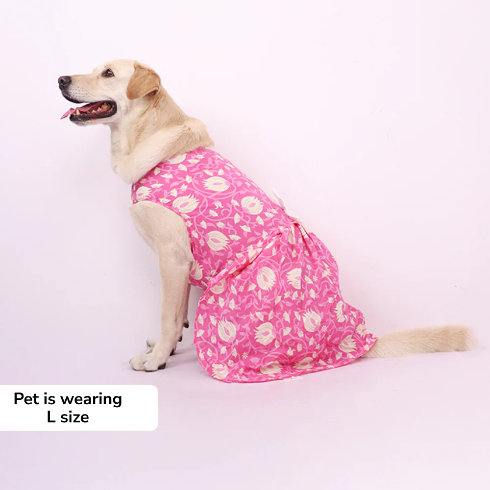 Skatrs Petal Charm Dress for Dogs and Cats - Image 6