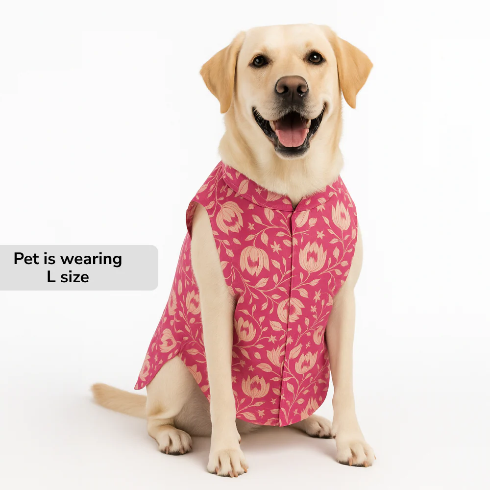 Skatrs Petal Charm Kurta for Dogs and Cats (Pink) - Image 4