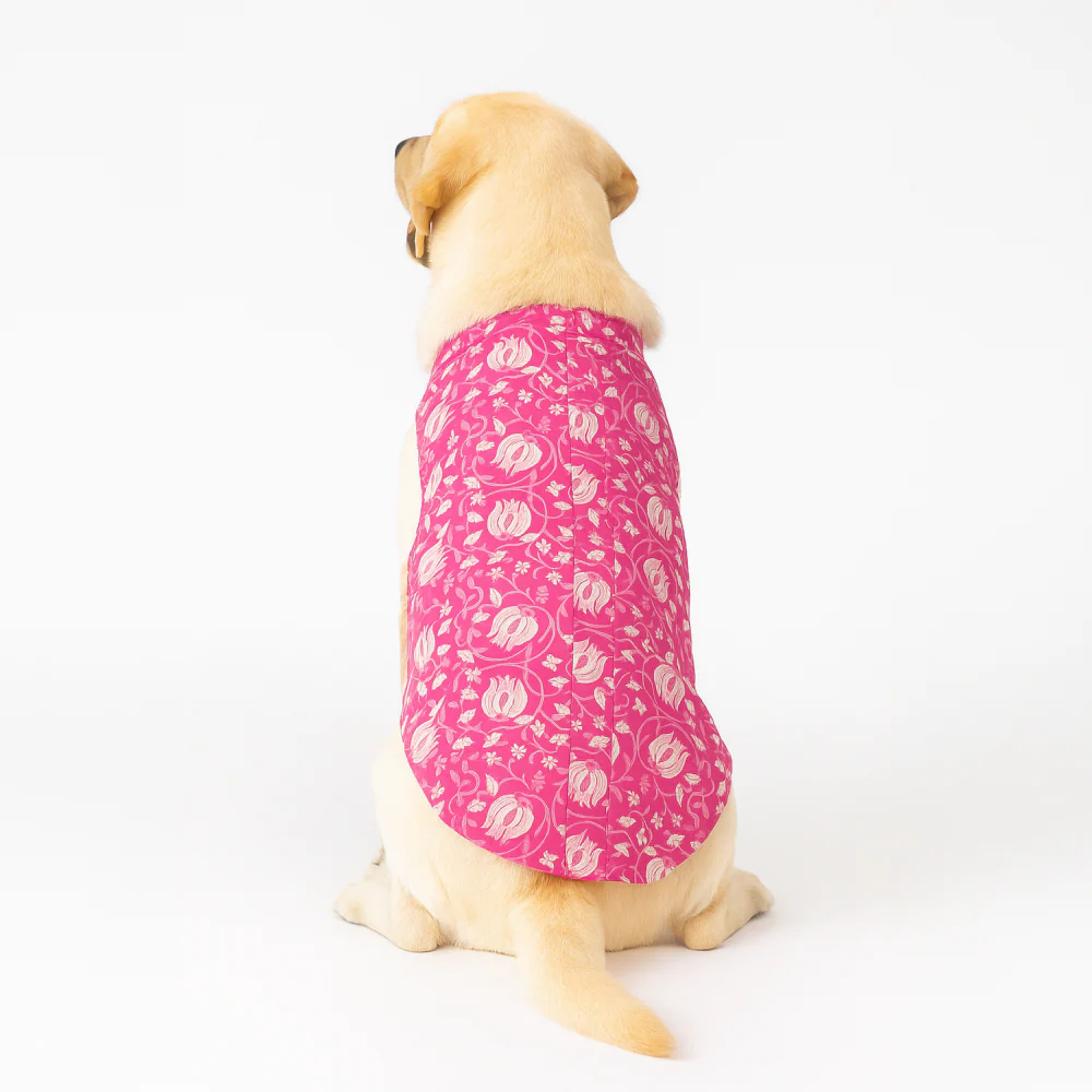 Skatrs Petal Charm Kurta for Dogs and Cats (Pink) - Image 5