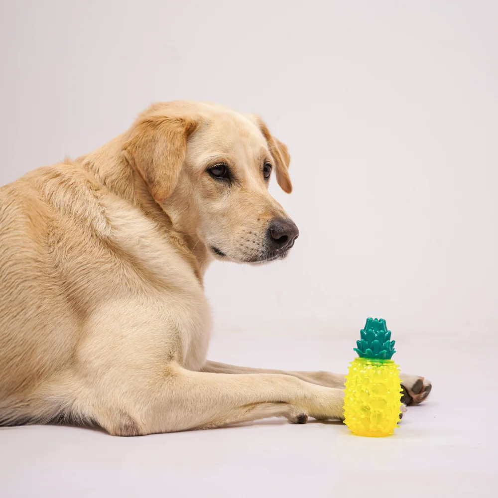 Skatrs  Pineapple Shaped Ice Cooling Toy for Dogs & Cats (Yellow) - Image 3