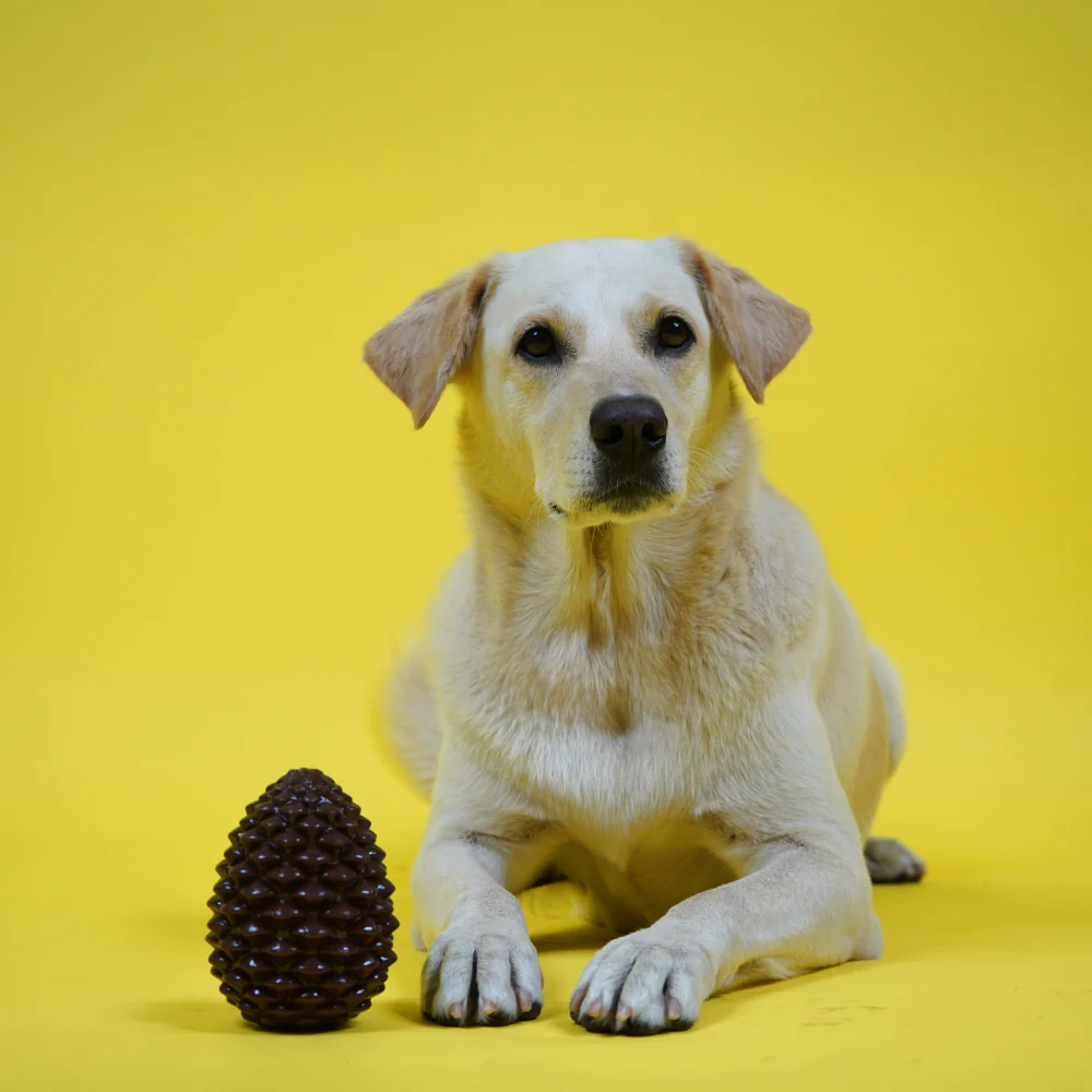 Skatrs Pinecone Treat Dispenser for Dogs (Brown) - Image 4