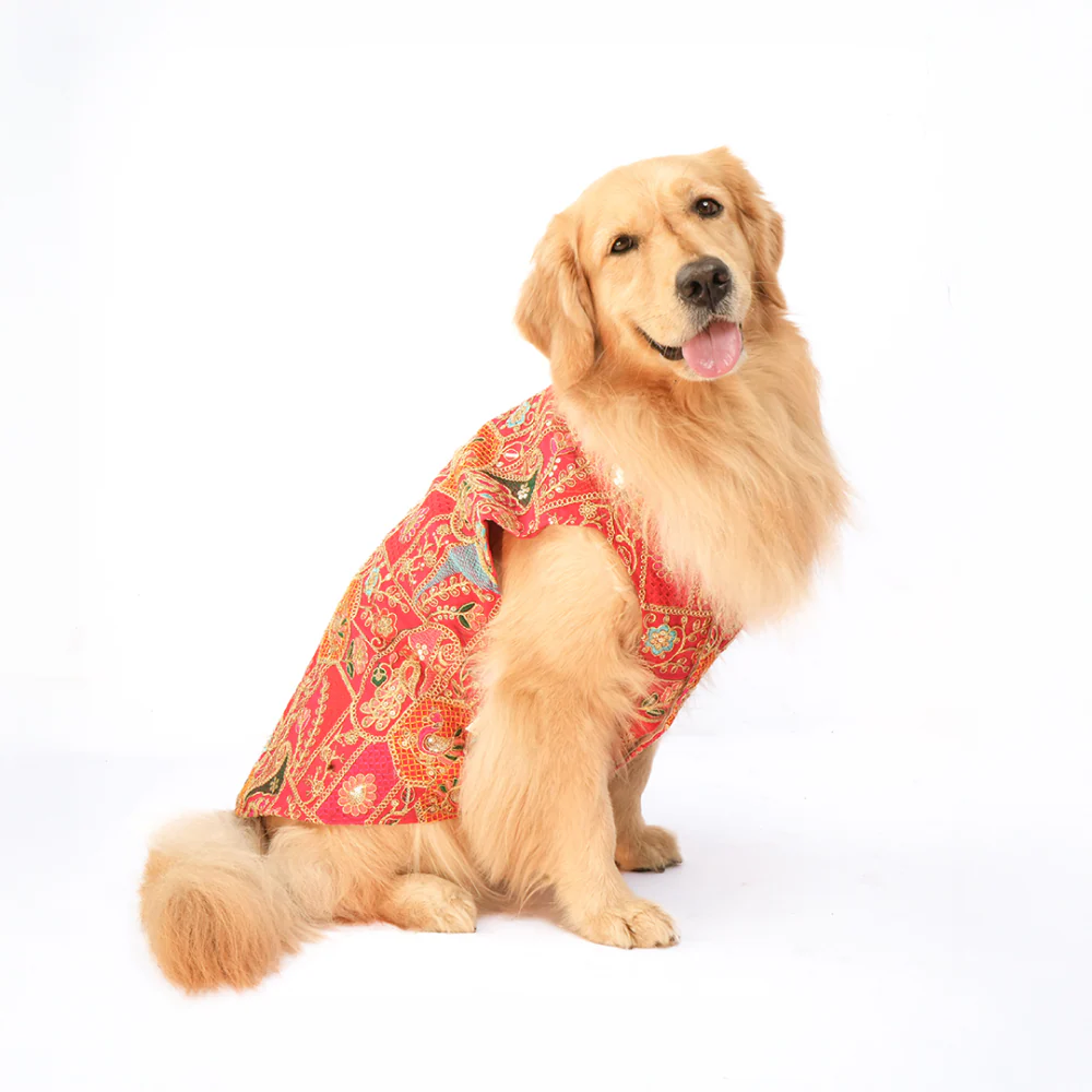 Skatrs Royale Sherwani for cats and dogs (Pink) - Image 12