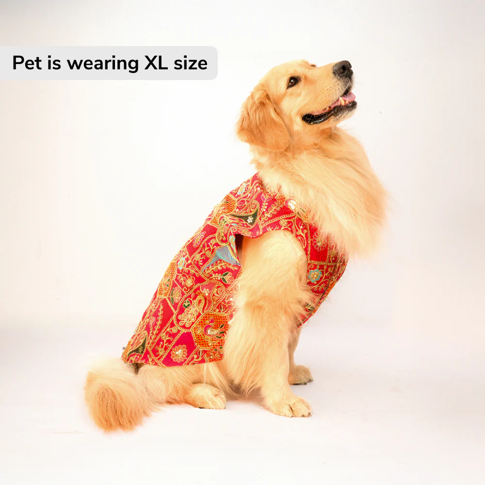 Skatrs Royale Sherwani for cats and dogs (Pink) - Image 3