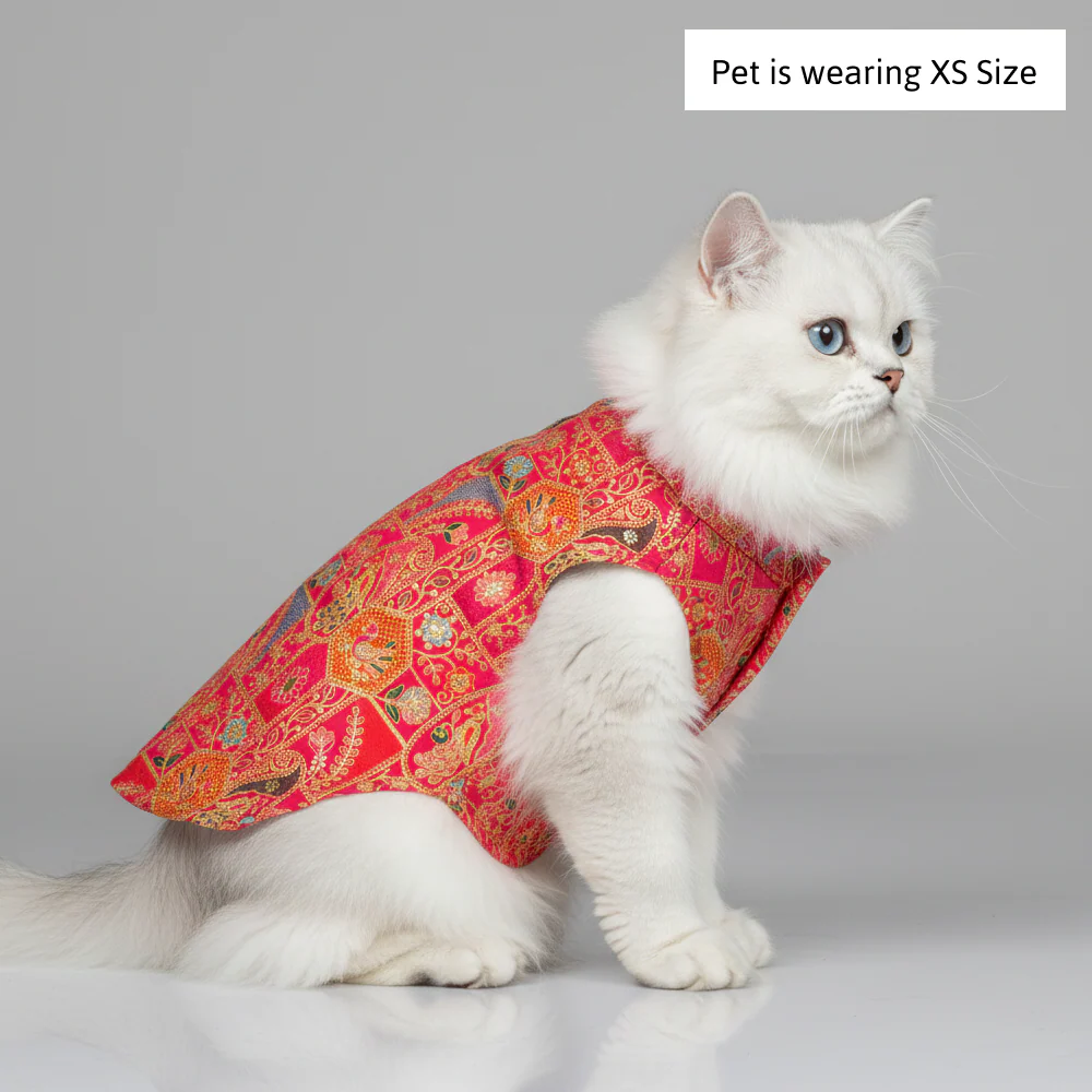 Skatrs Royale Sherwani for cats and dogs (Pink) - Image 4