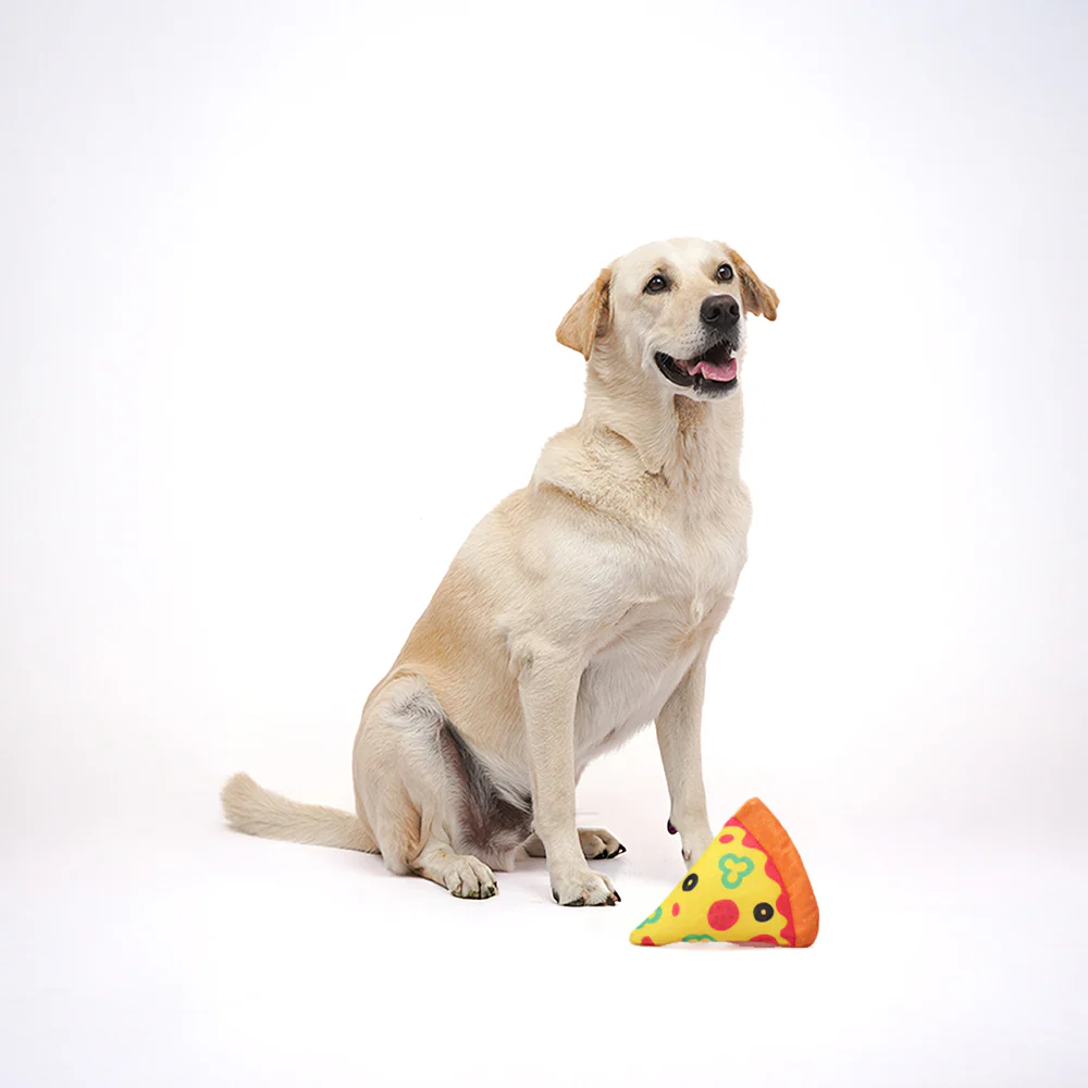 Skatrs Pizza Plush Toy for Dogs - Image 4