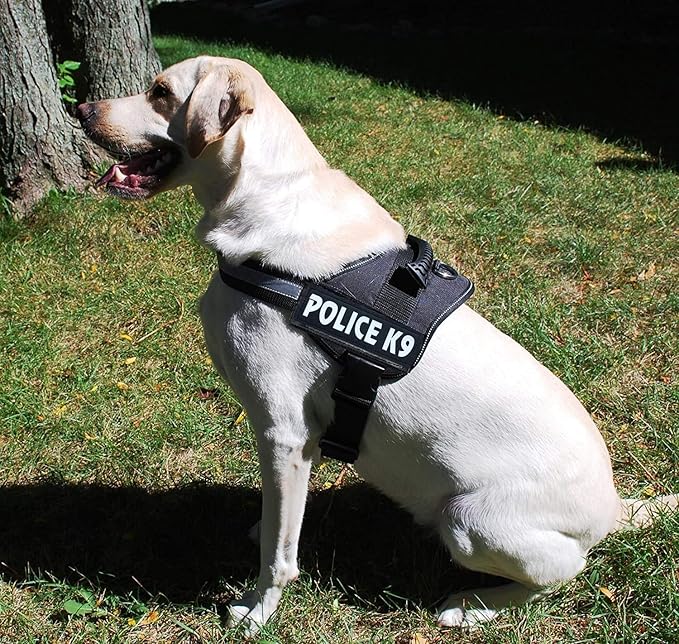 Skatrs Police K9 Harness for Dogs (Red) - Image 8