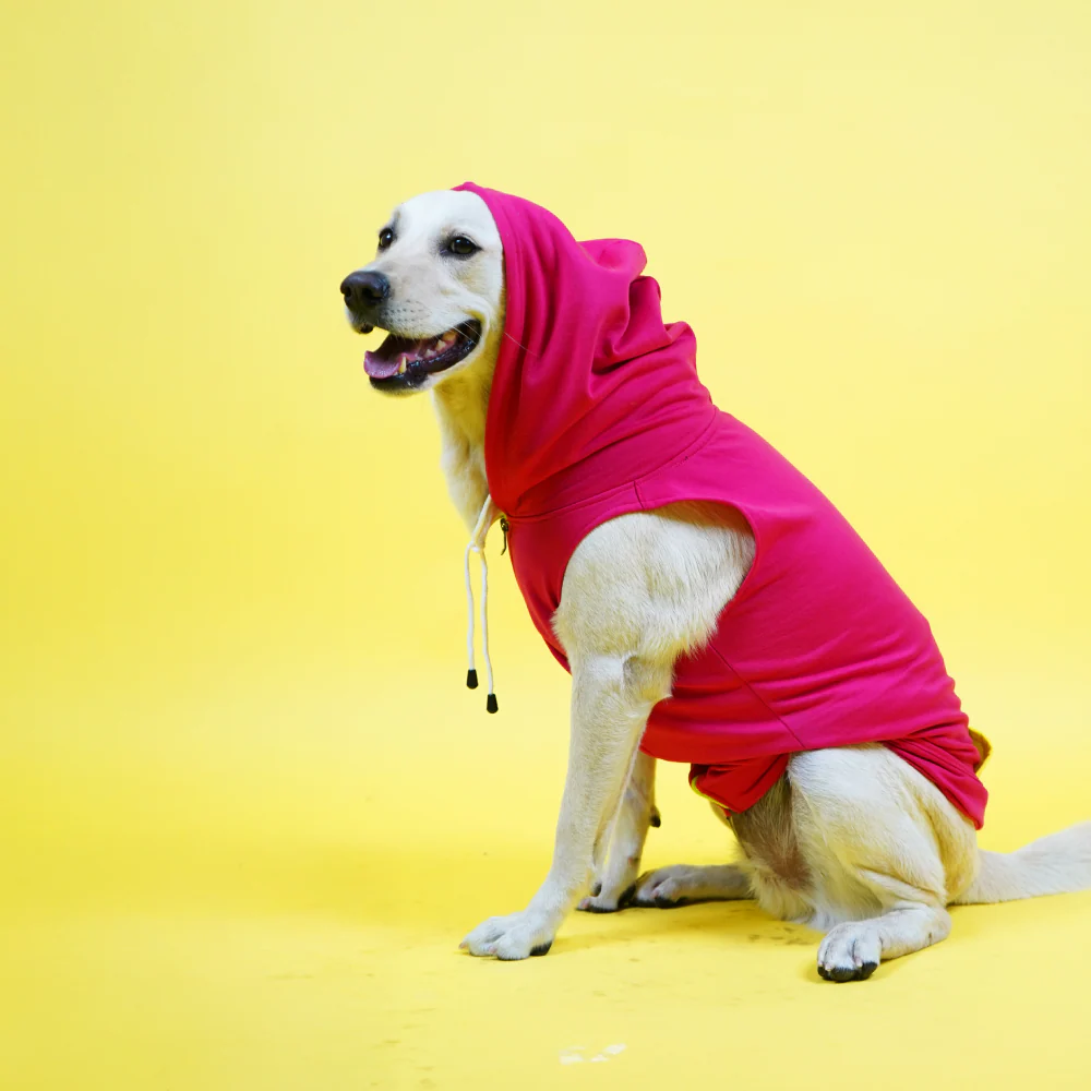 Skatrs Pop Breezy Hoodies with Pockets for Dogs and Cats (Pink) - Image 2