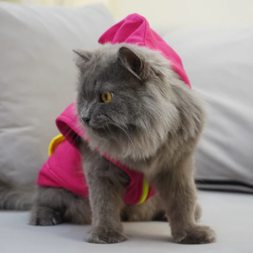 Skatrs Pop Breezy Hoodies with Pockets for Dogs and Cats (Pink) - Image 3