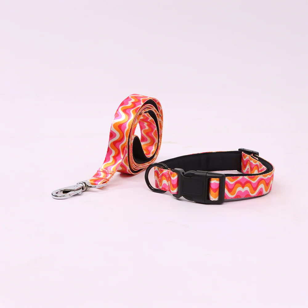 Skatrs Pop Groove Collar for Dogs & Cats - Image 3