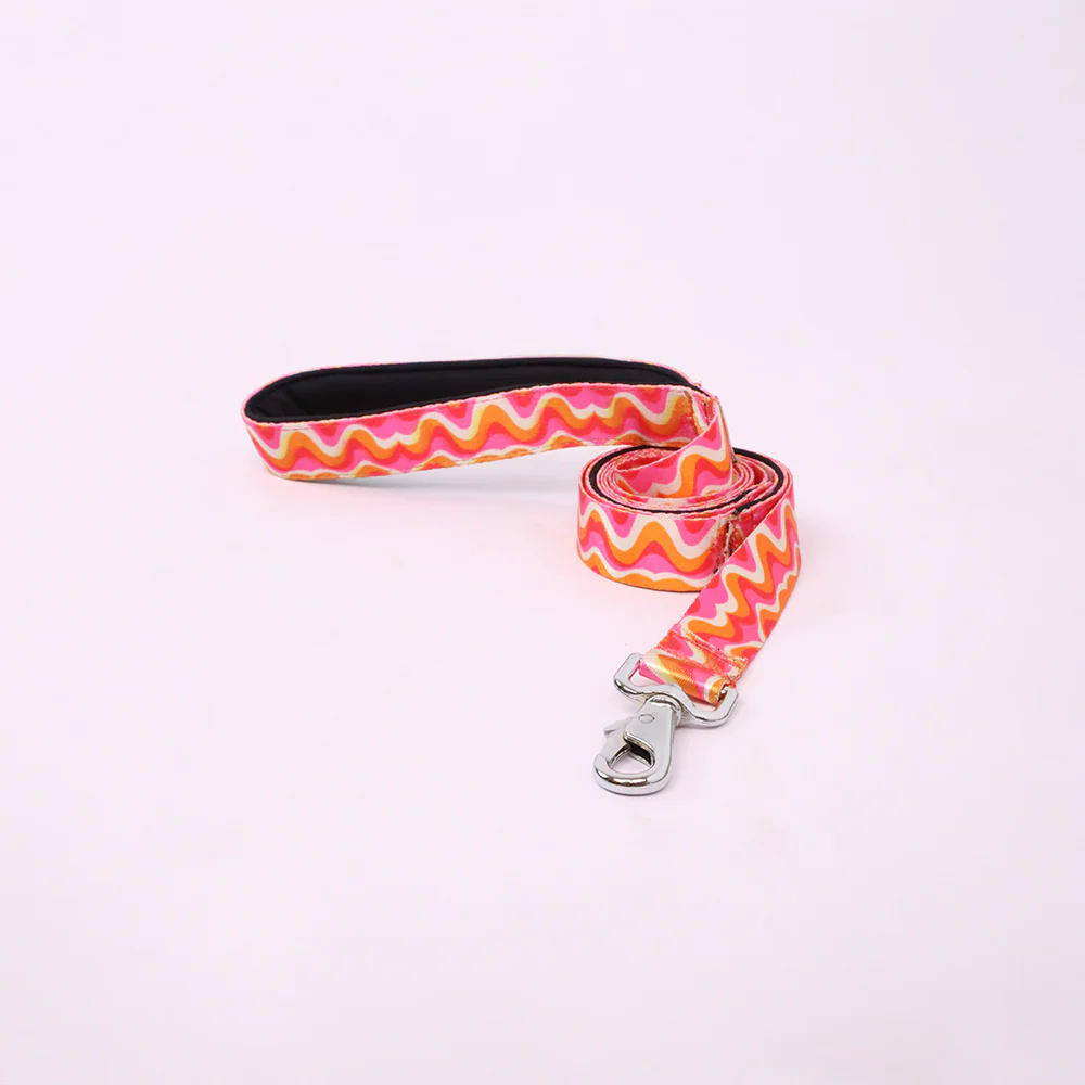 Skatrs Pop Groove Leash for Dogs - Image 3