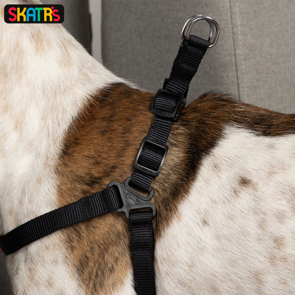 Skatrs Padded Nylon Y Harness for Dogs & Cats (Black) - Image 4