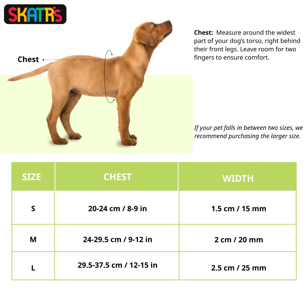Skatrs Padded Nylon Y Harness for Dogs & Cats (Red) - Image 2