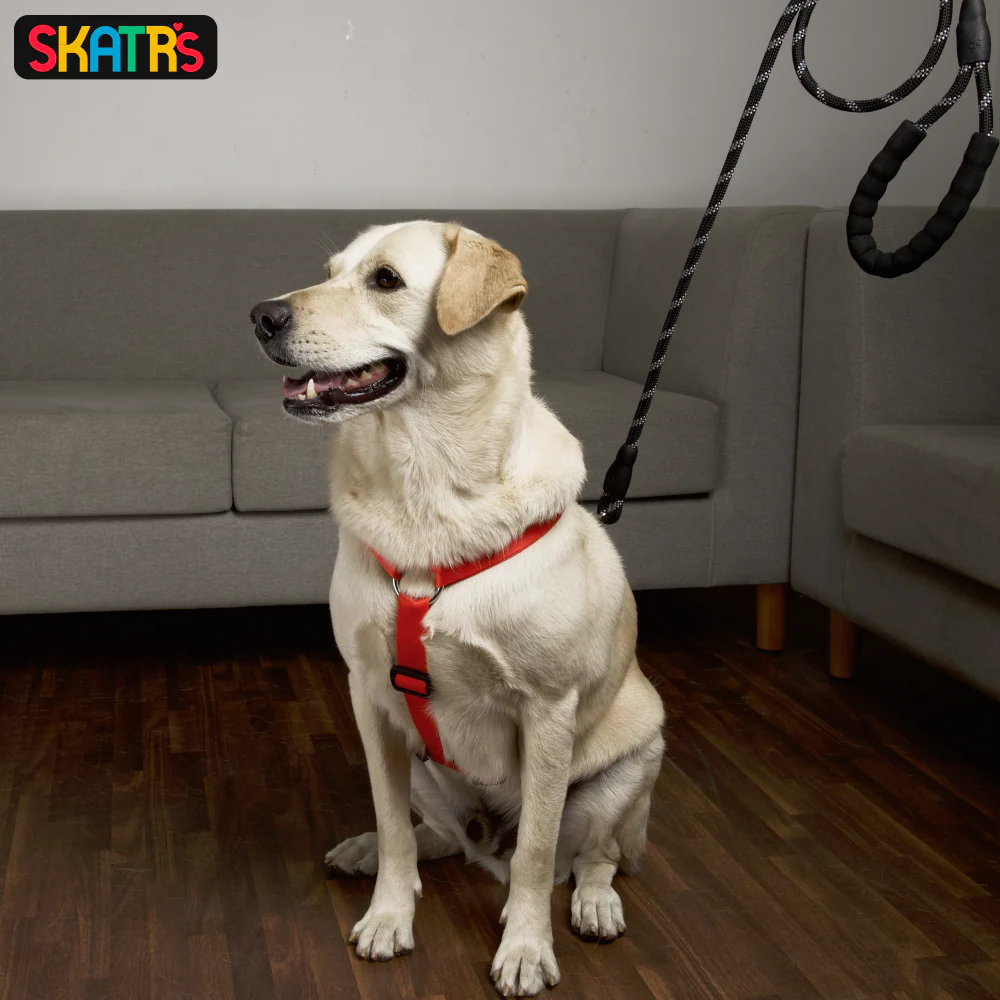 Skatrs Premium H Harness for Dogs (Coral Red) - Image 5