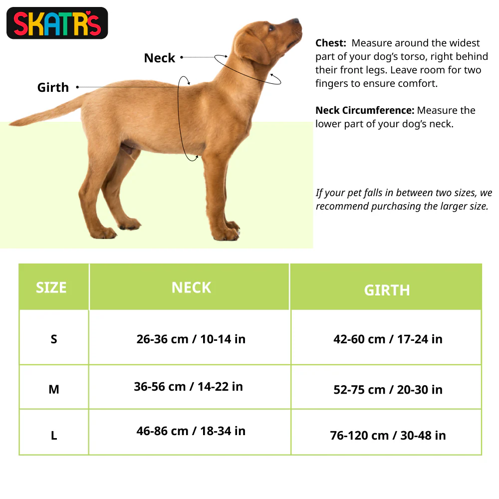 Skatrs Premium H Harness for Dogs (Midnight Blue) - Image 2