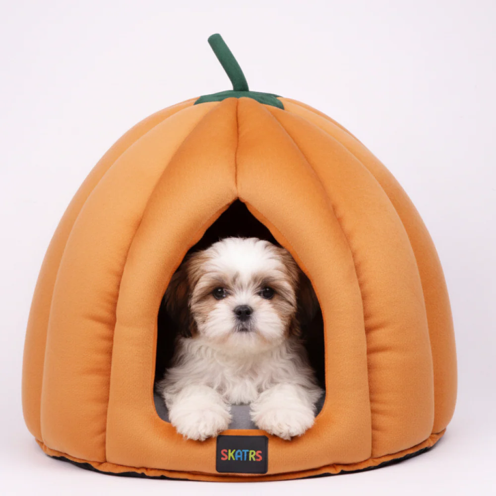 Skatrs Pumpkin Spice House for Cats and Small Dogs - Image 2