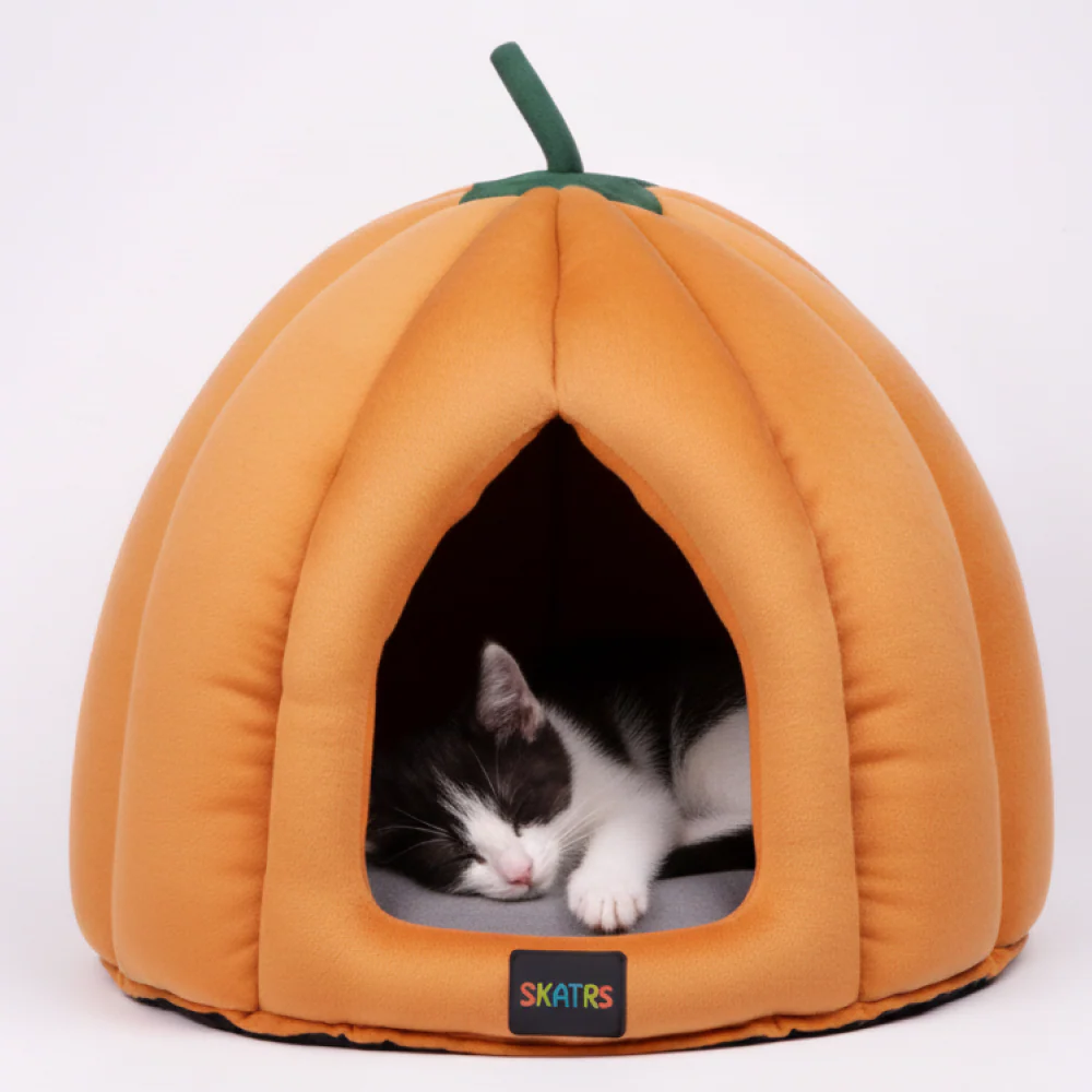 Skatrs Pumpkin Spice House for Cats and Small Dogs - Image 3