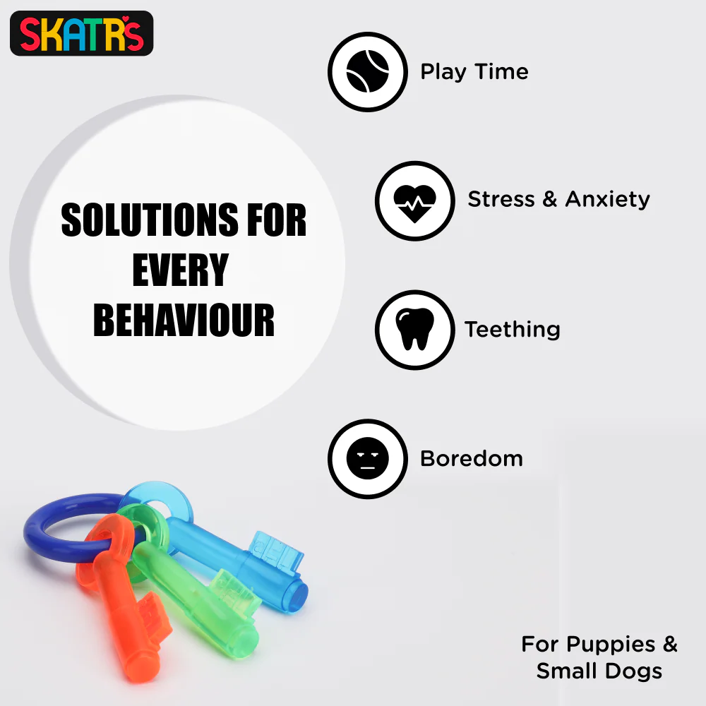 Skatrs Key Shaped Chew Teether Toy for Puppy and Dogs - Image 3