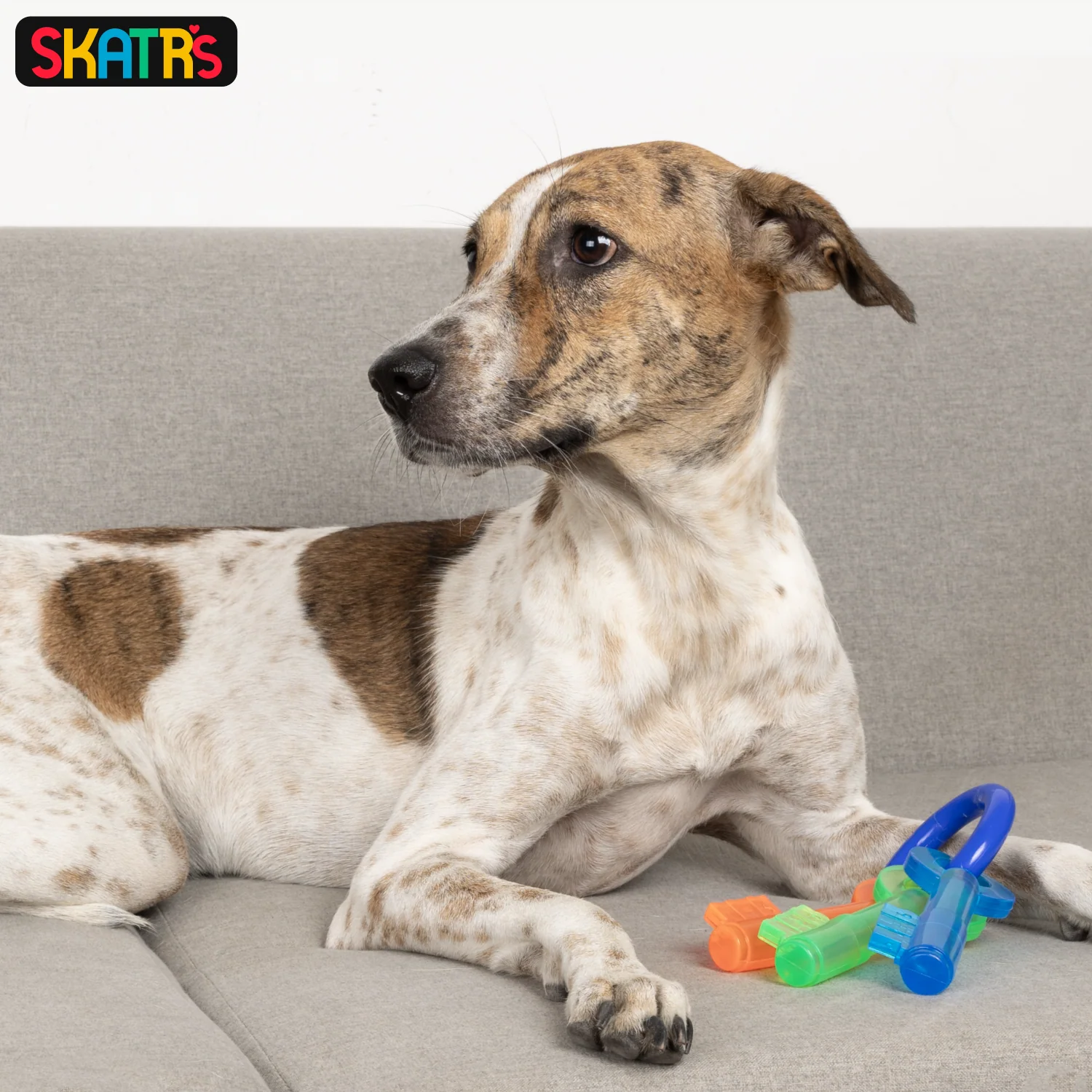 Skatrs Key Shaped Chew Teether Toy for Puppy and Dogs - Image 4