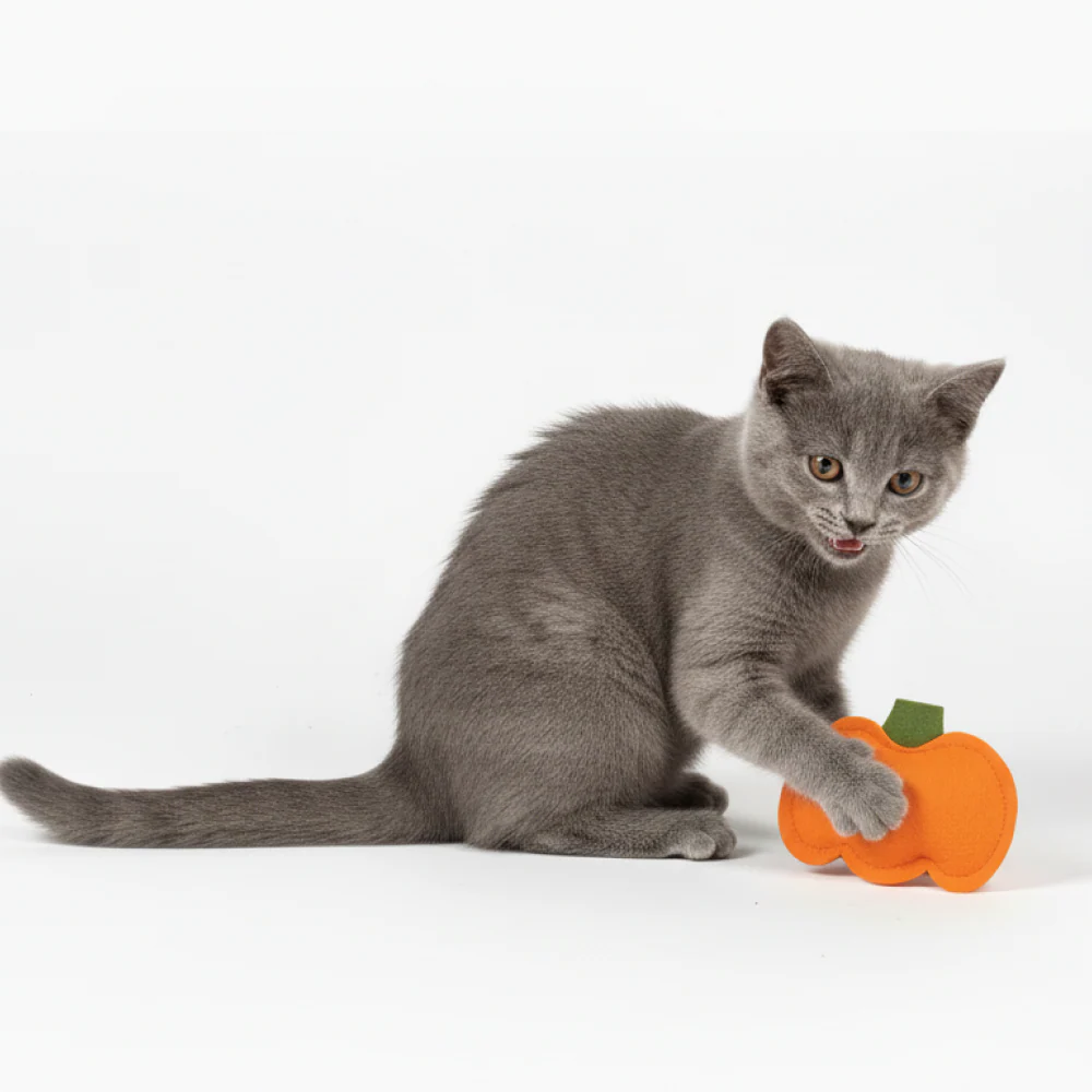Skatrs Purrkin Spice Catnip Toy for Cats - Image 3