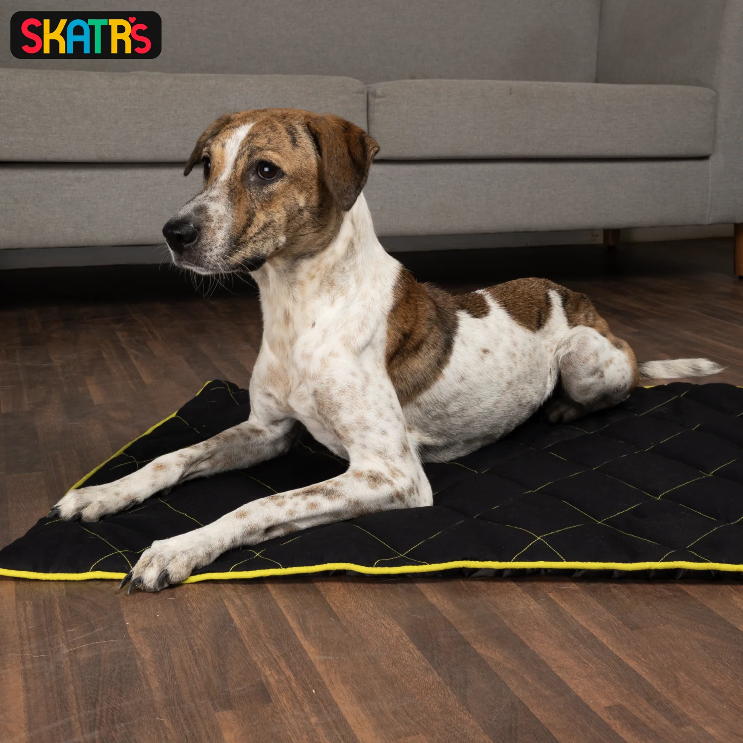 Skatrs Foldable Quilted Mat for Dogs and Cats (Black) - Image 2