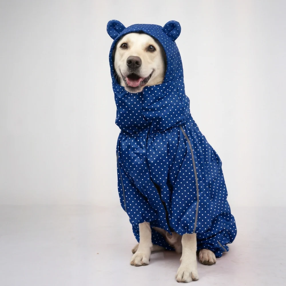 Skatrs Raincoat for Dogs (Blue)