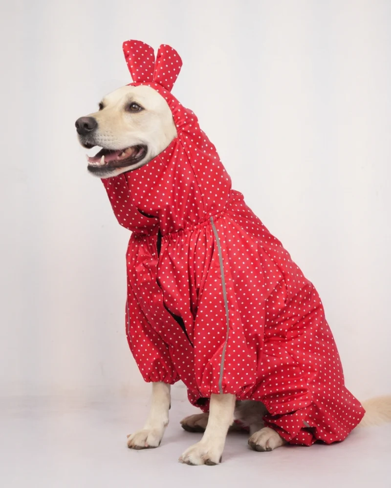 Skatrs Raincoat for Dogs (Red) - Image 11