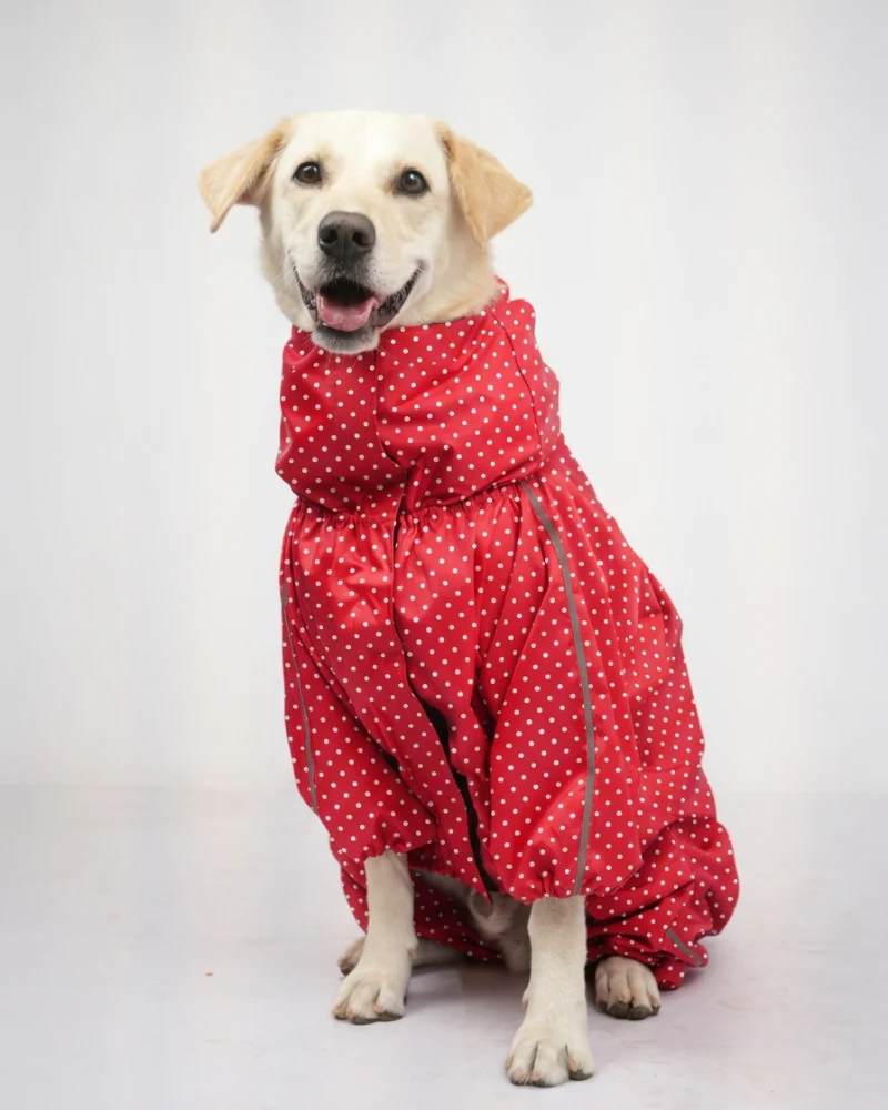 Skatrs Raincoat for Dogs (Red) - Image 2