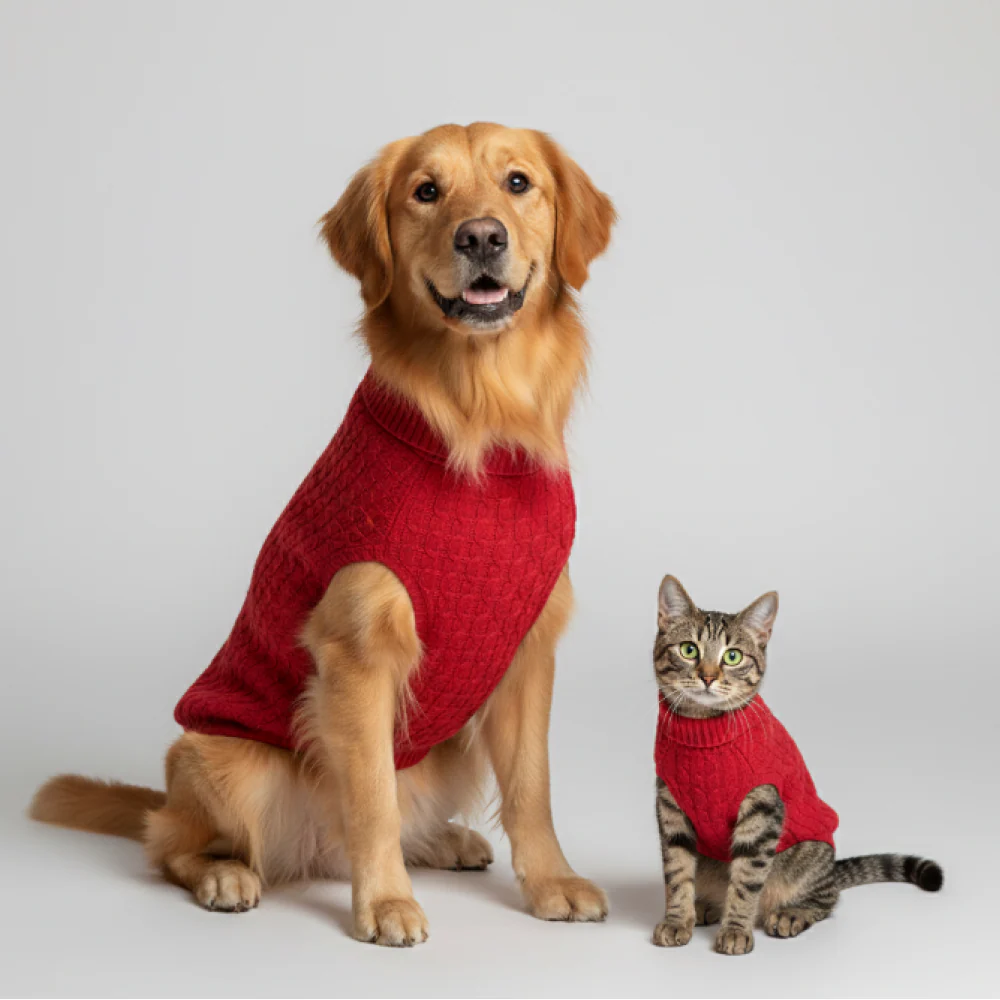 Skatrs Red Sweater For Dogs and Cats - Image 10