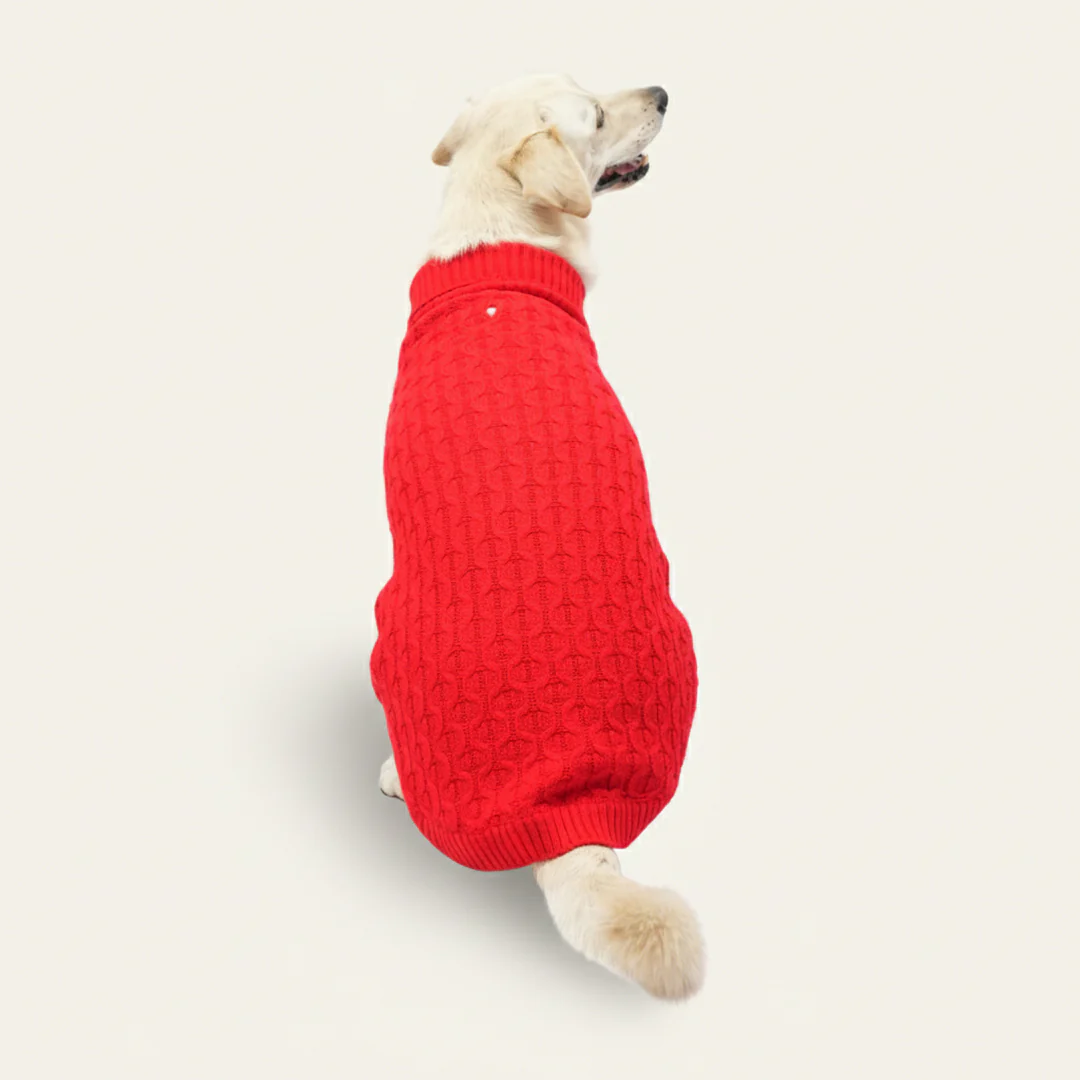 Skatrs Red Sweater For Dogs and Cats - Image 17