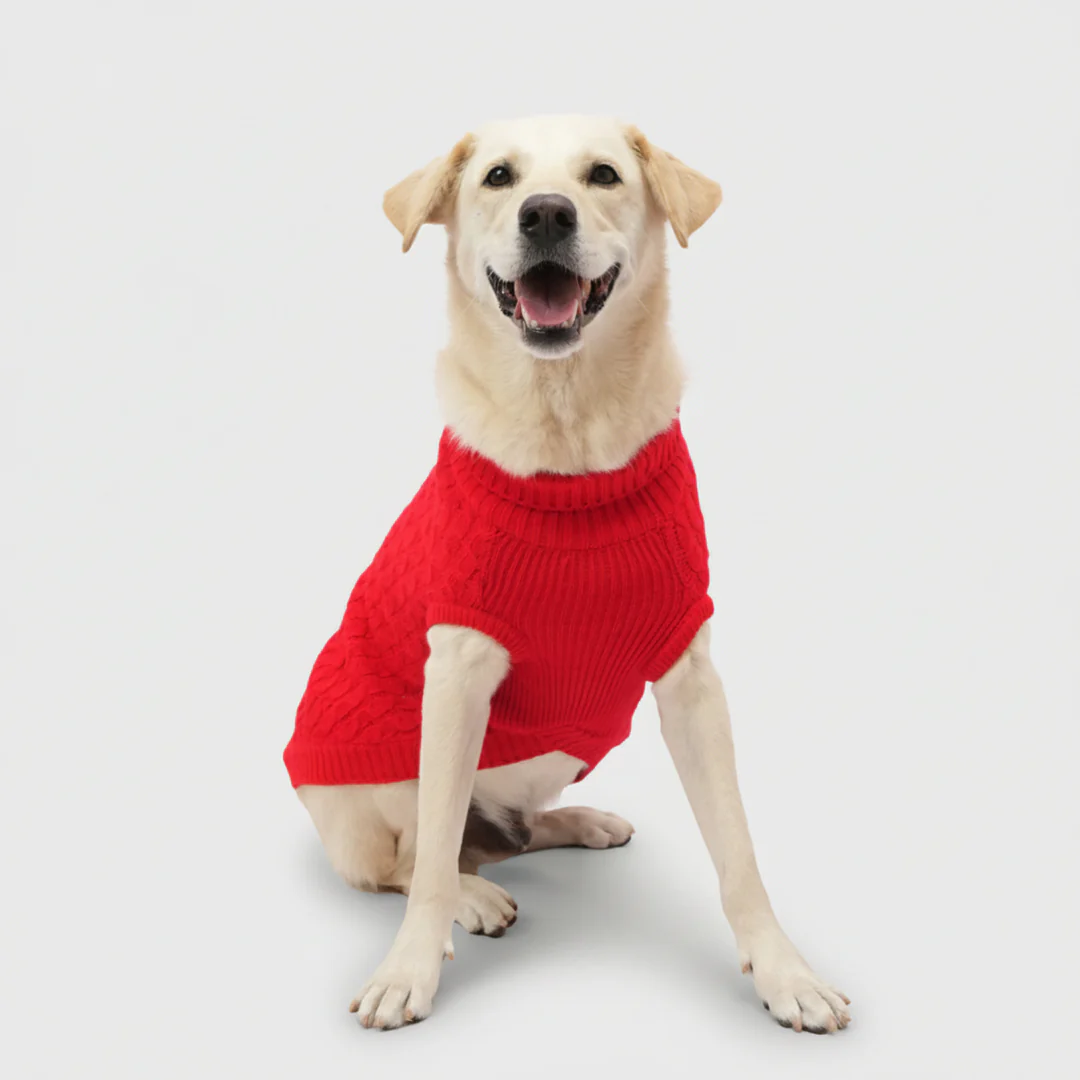 Skatrs Red Sweater For Dogs and Cats - Image 2
