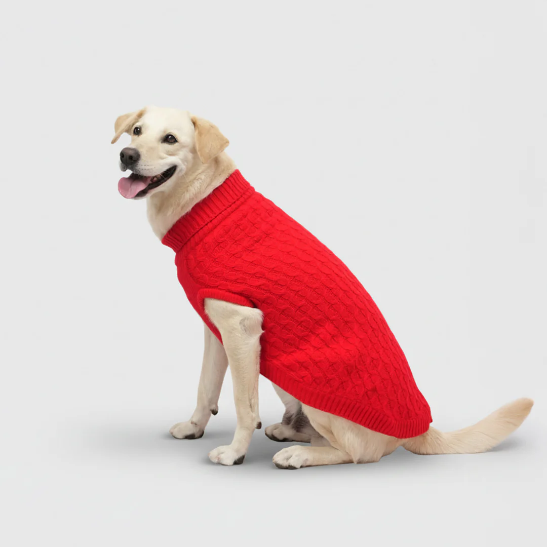 Skatrs Red Sweater For Dogs and Cats - Image 4