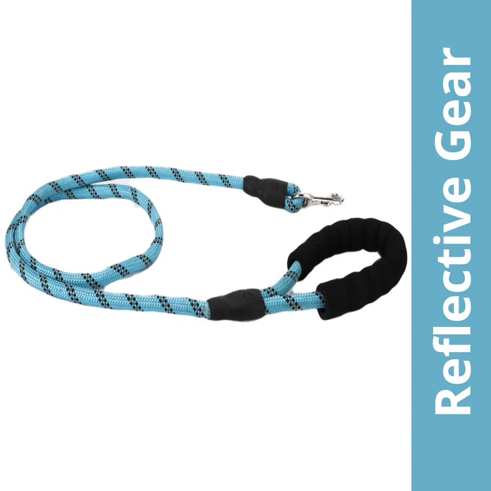 Skatrs Reflective Nylon Rope Leash for Dogs (Sky Blue)