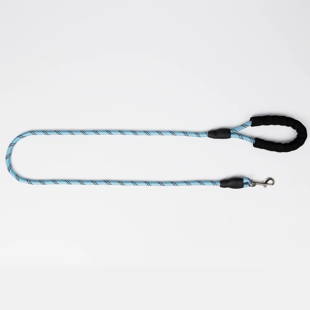 Skatrs Reflective Nylon Rope Leash for Dogs (Sky Blue) - Image 2