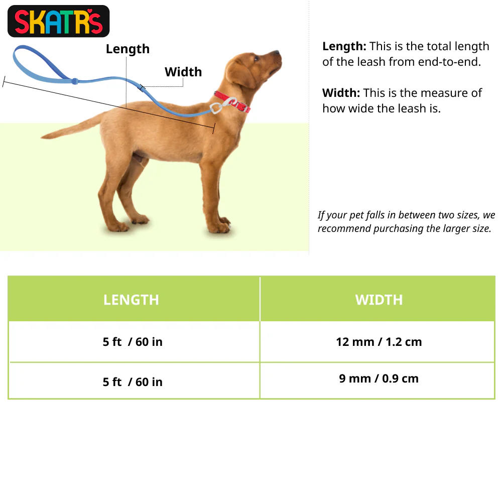 Skatrs Reflective Nylon Rope Leash for Dogs (Sky Blue) - Image 5