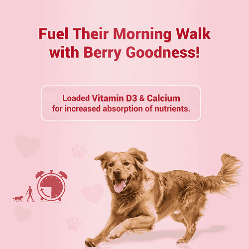 Natural Remedies Treat O'Clock Strawberry, Fresh Me Up Shampoo & Orthoron Joint Support Tablets Dog Combo - Image 3