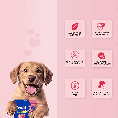 Natural Remedies Treat O'Clock Strawberry, Fresh Me Up Shampoo & Orthoron Joint Support Tablets Dog Combo - Image 4