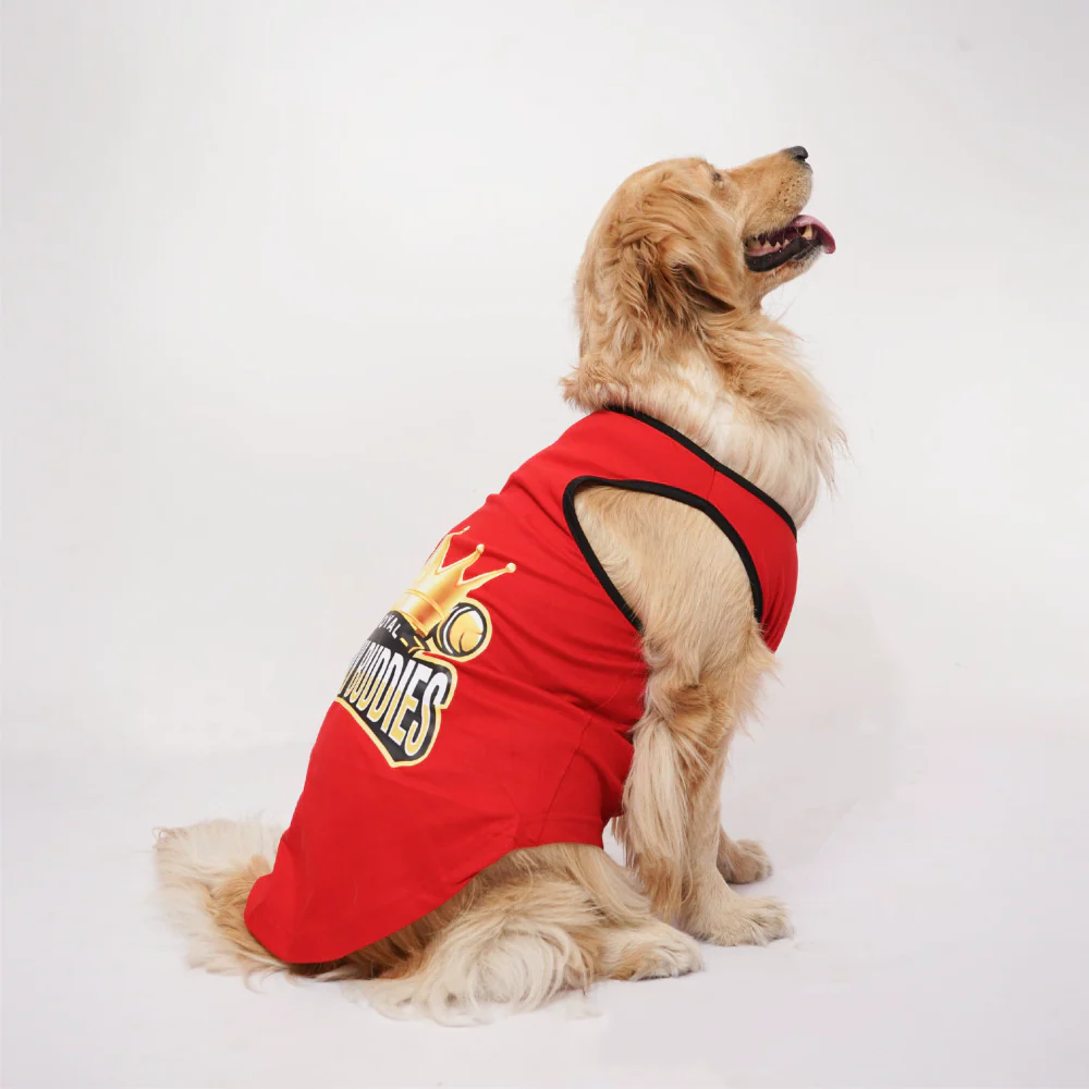 Skatrs Royal Cuddly Buddies Cricket Jersey for Dogs and Cats (Red) - Image 6