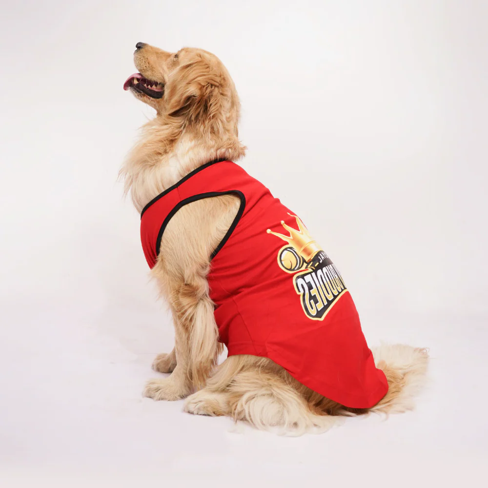 Skatrs Royal Cuddly Buddies Cricket Jersey for Dogs and Cats (Red) - Image 7